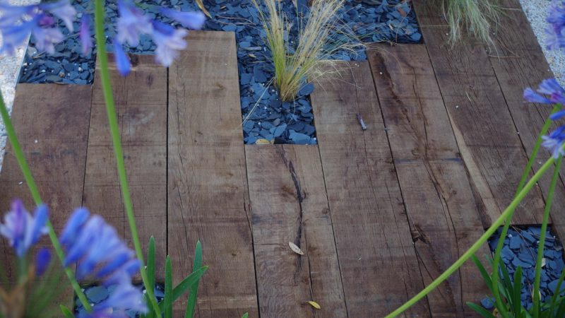 IMGP5077